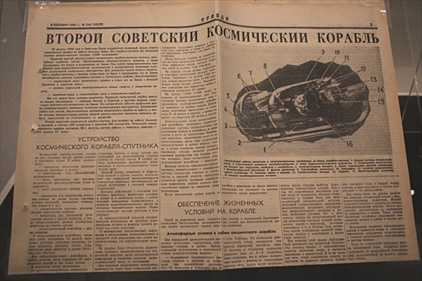 059-Сад белого медведя
